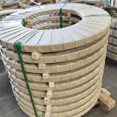 Stainless Steel Foil