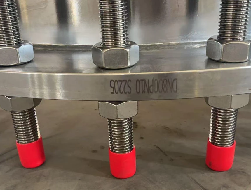 S2205 DN800 PN10 Flanges