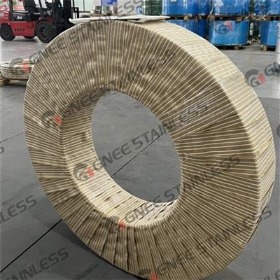 ASTM A240 316L Stainless Steel Coil Strip